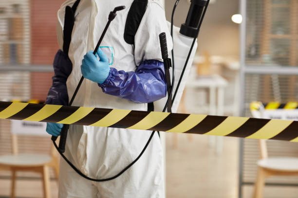 Professional Odor Removal technician working in Dana, NC
